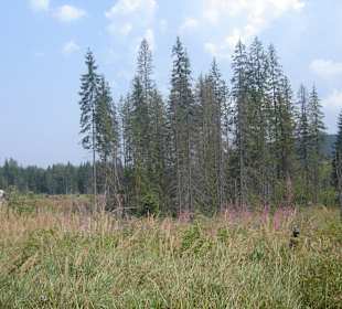 Parcul Natural Apuseni