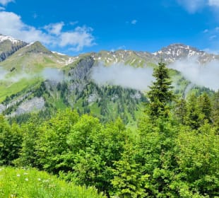 Wandern Adelboden