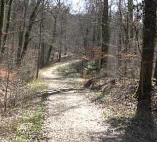 Geschichtlicher Lehrpfad Einsiedel