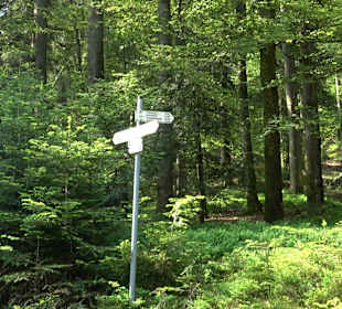Haberer Turm Bad Griesbach
