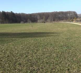 Premiumwanderweg Hohenwittlingensteig