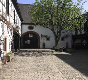 Theodor Zink Museum