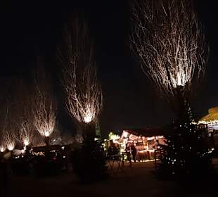 Fredenbaumpark Mittelalterlicher Weihnachtsmarkt