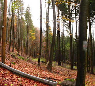 Moritzberg im Herbst