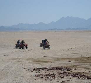 Quadtour in die Wüste - Ausflug mit Mohamed