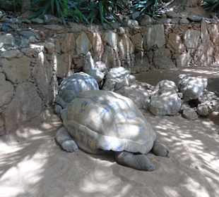 Palmitos Park