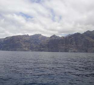 Los Gigantes 