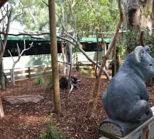 Feather Dale Wildlife Park