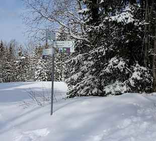 Verschneite Natur - ohne Schnee auch Rdtouren