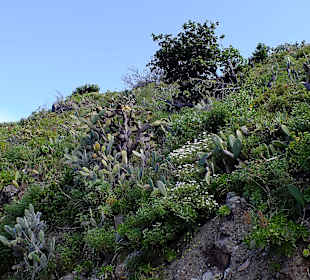 Landschaft oberhalb von Fajana de Franceses
