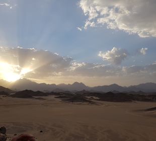 Quad Tour El Gouna