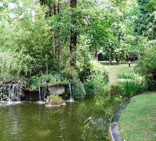 Rundgang durch den Edmund Klein Park