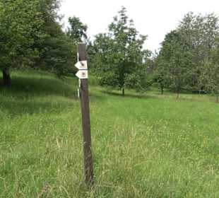 Premiumspazierweg Früchtetrauf-Leisawegle