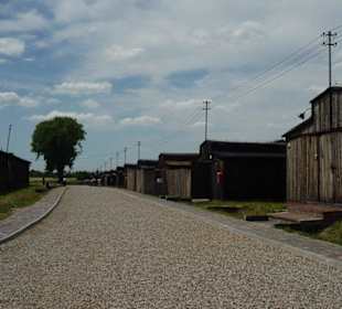 Ścieżka edukacyjna