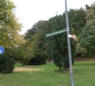 Baumkronenweg Waldkirch