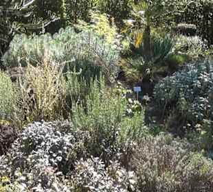 Wüstengarten - Berggarten