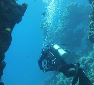 Tauchbasis Ducks Diving Superior