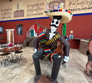 Tequila Destillerie 