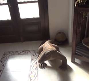 Museo Etnográfico Tanit