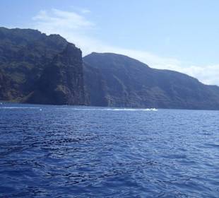 Los Gigantes
