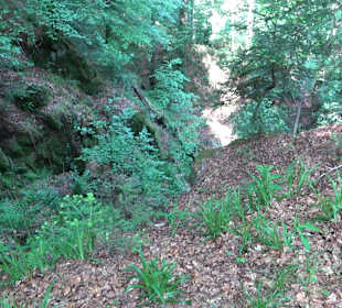 Teufelskanzelsteig Bad Griesbach