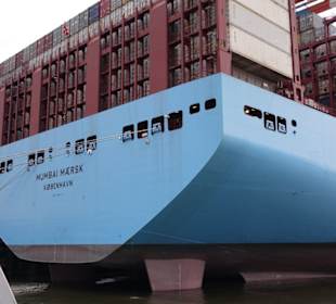 Immer mehr Container gehen an Bord