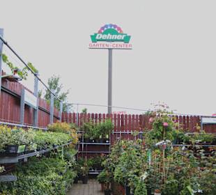 Freiland