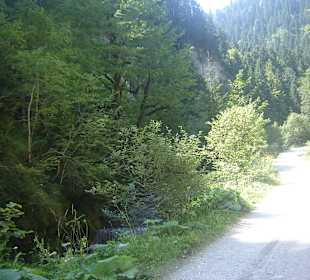 Cascada Valul Miresei