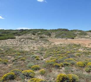 Wanderung durch die Dünen / Dunes de Son Real
