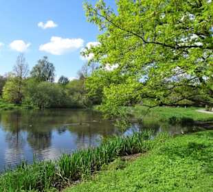 Impressionen aus dem Rhododendronpark Verden