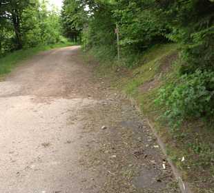 Flößerpfad Loßburg