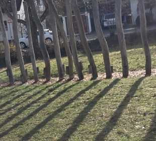 Spielplatz Blaihofstraße Pfrondorf