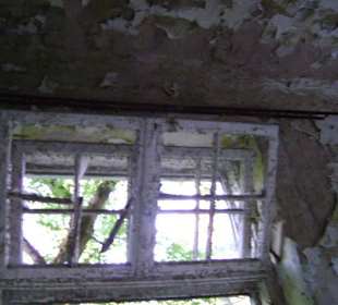 Zakład dla Nerwowo i Psychicznie Chorych Żydów Zofiówka