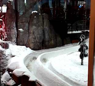 Ski-Dubai 