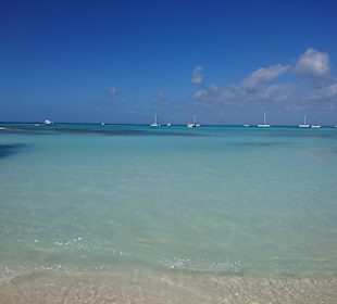 Isla Saona