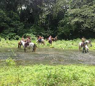 Ausritt in die Berge