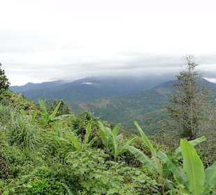 Wildlife Expeditions