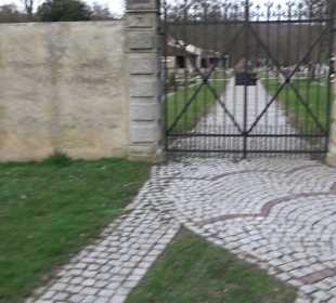 Friedhof Neckartenzlingen