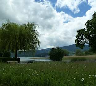 Wandern Gmund am Tegernsee