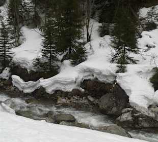 Wandern Mittelberg (Vorarlberg)