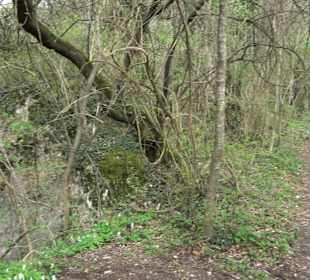Wanderung rund um das Rusenschloss Gerhausen