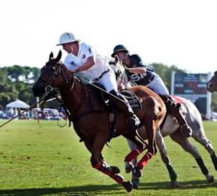 Newport International Polo Series