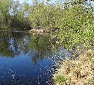 Impressionen aus der Gellener Torfmöörte