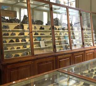 Museum für Naturkunde