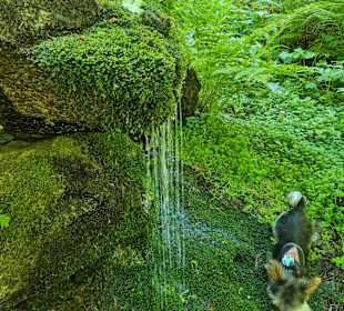Wandern St. Englmar