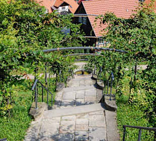 Barockgarten