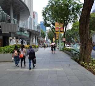 Orchard Road