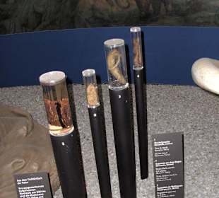 Muskelgewebe,Fellteile,Mahlzeit i.Magen v. Mammut