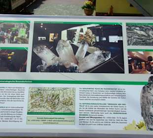 Nationalpark Hohe Tauern