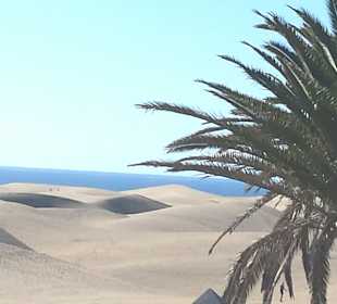 Dünen von Maspalomas